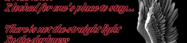 ☆海優ママ☆'s header image