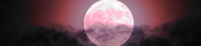 tuxedocat's header image