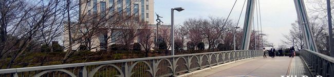 ひーパパ's header image