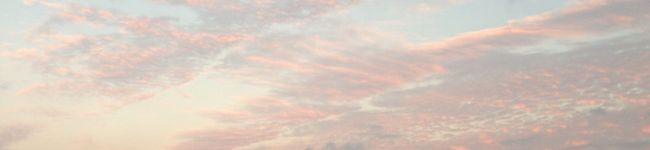 うしさん飯1111's header image