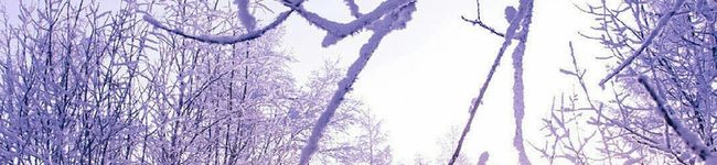 はち7's header image