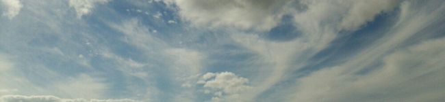 ひ～ちゃんぷらす's header image