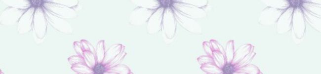 Saraxxchan's header image