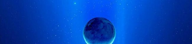 MEGマグ's header image