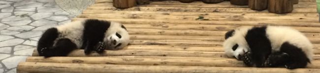 クックC24PR1☆'s header image