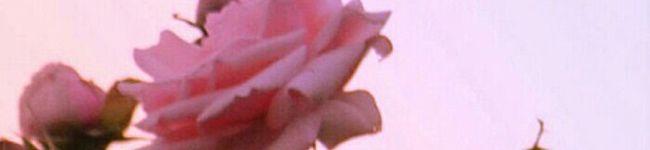 nchushuk's header image