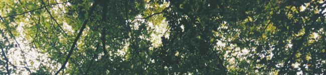 gohhhaan's header image