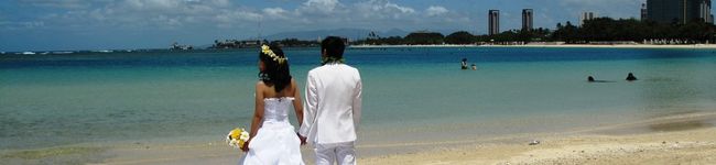 koebi's header image