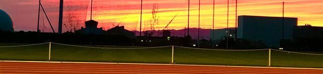 mihoyaono's header image