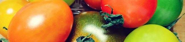 jimaa's header image