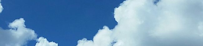 さくらこキッチン's header image