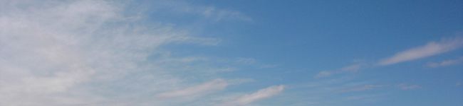 ずん's header image