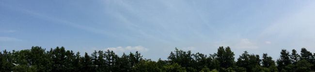 トンカツちゃん's header image