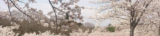 にーちゃんLOVE's header image