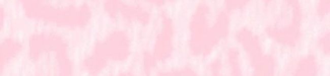 ヒョウ柄ピンク担's header image