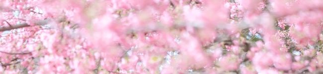 Ririri♡♡'s header image