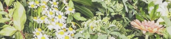 でりーK's header image