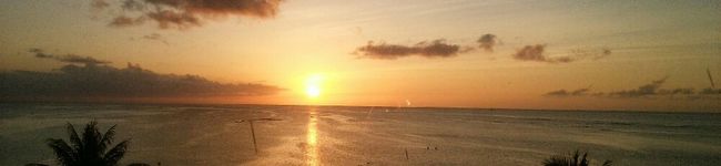 TOMO⭐'s header image