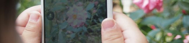 mia＊！'s header image