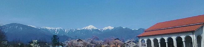 千代華❀✿'s header image