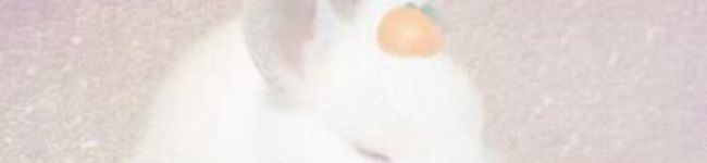 クックT5SMI9☆'s header image