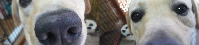 *らぶ*'s header image