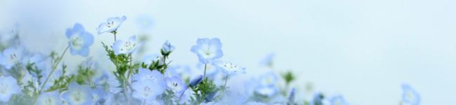 ✿みもりん✿'s header image
