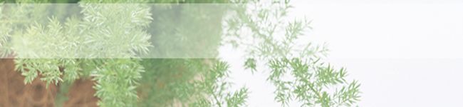 にゃるも's header image
