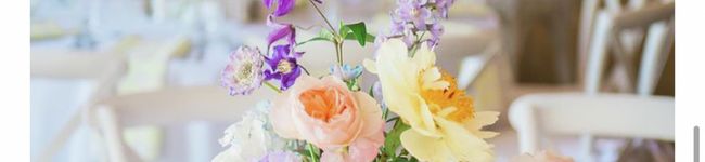 ととぴーさま's header image