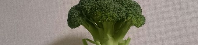 こにゃはべ's header image