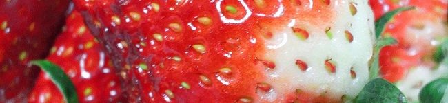 kaiyui's header image