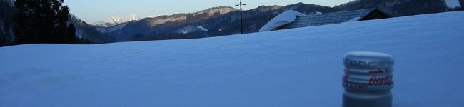 ぽてとちび's header image