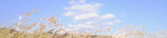 きょん95's header image