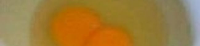 うみ人's header image