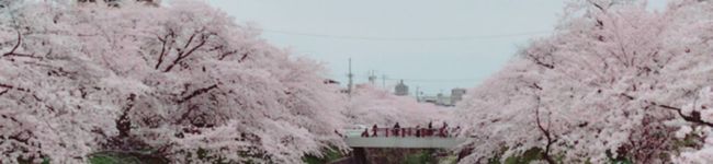 kaaako☆彡's header image