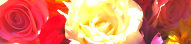 omuomu△'s header image