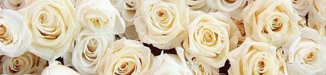 Rchan♥'s header image