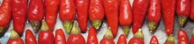 ecoco３'s header image