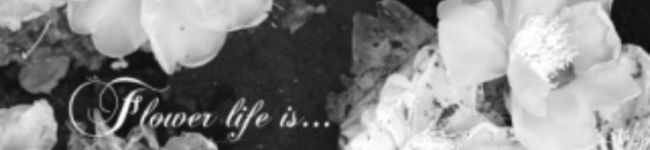 SS♡mama's header image