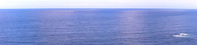 yukacoconuts's header image