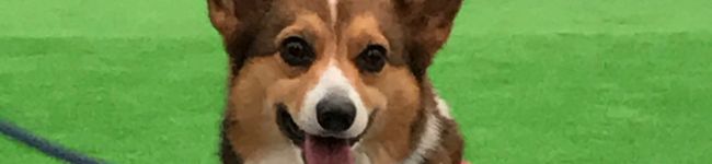 やよっち☆'s header image