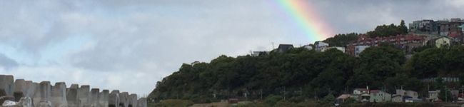 いかぶち's header image