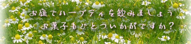 藍☆あい's header image