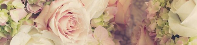 ＊chicotto＊'s header image