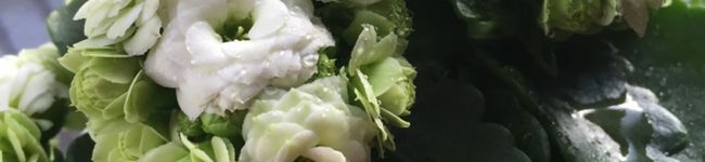 ヌマ家's header image
