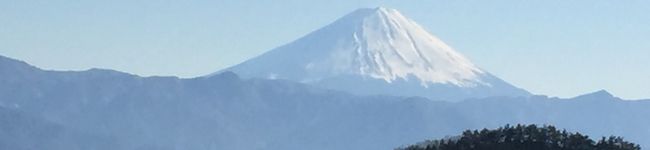 みにたんMako's header image