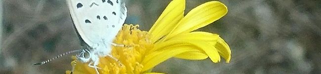 ヌイヲ's header image