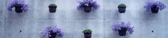 tankan55's header image