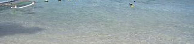 manakao's header image