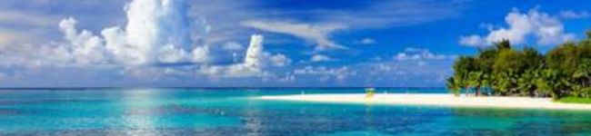 クックD7XOT3☆'s header image
